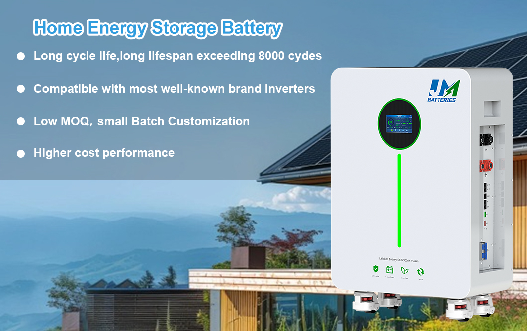 customized lifepo4 storage pack